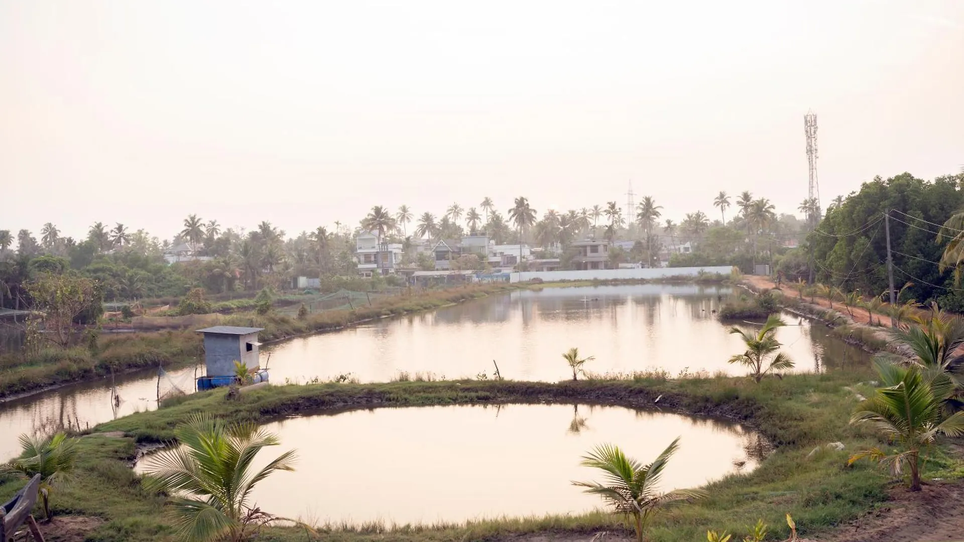 Angels Homestay Kochi